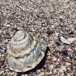 Meet your Posher, Joanna